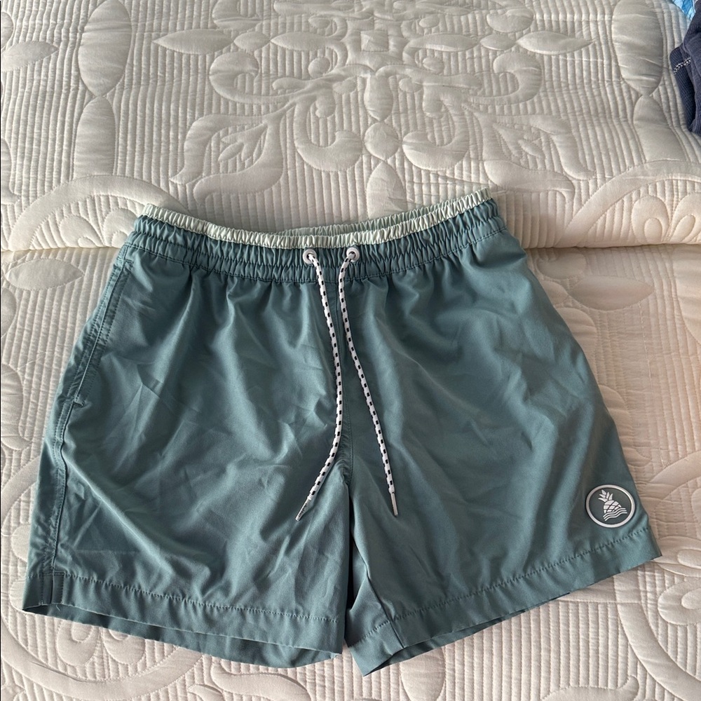Chubbies Teal Swim Trunks